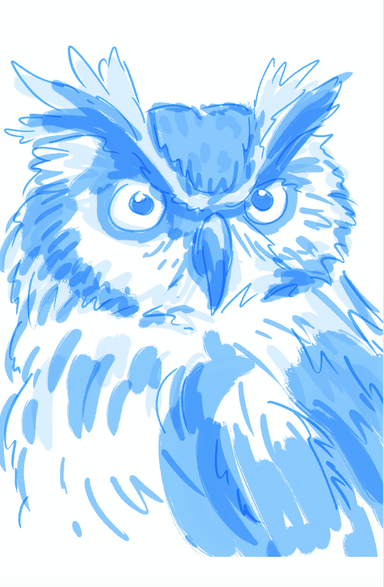 Lauren Metzler owl sketch